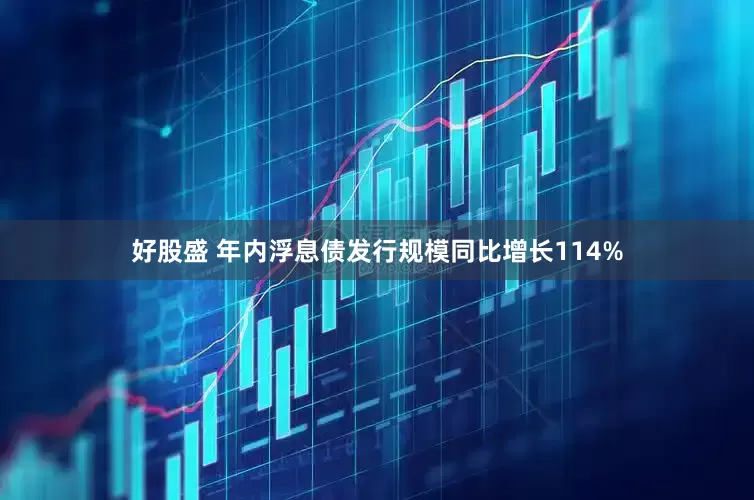 好股盛 年内浮息债发行规模同比增长114%
